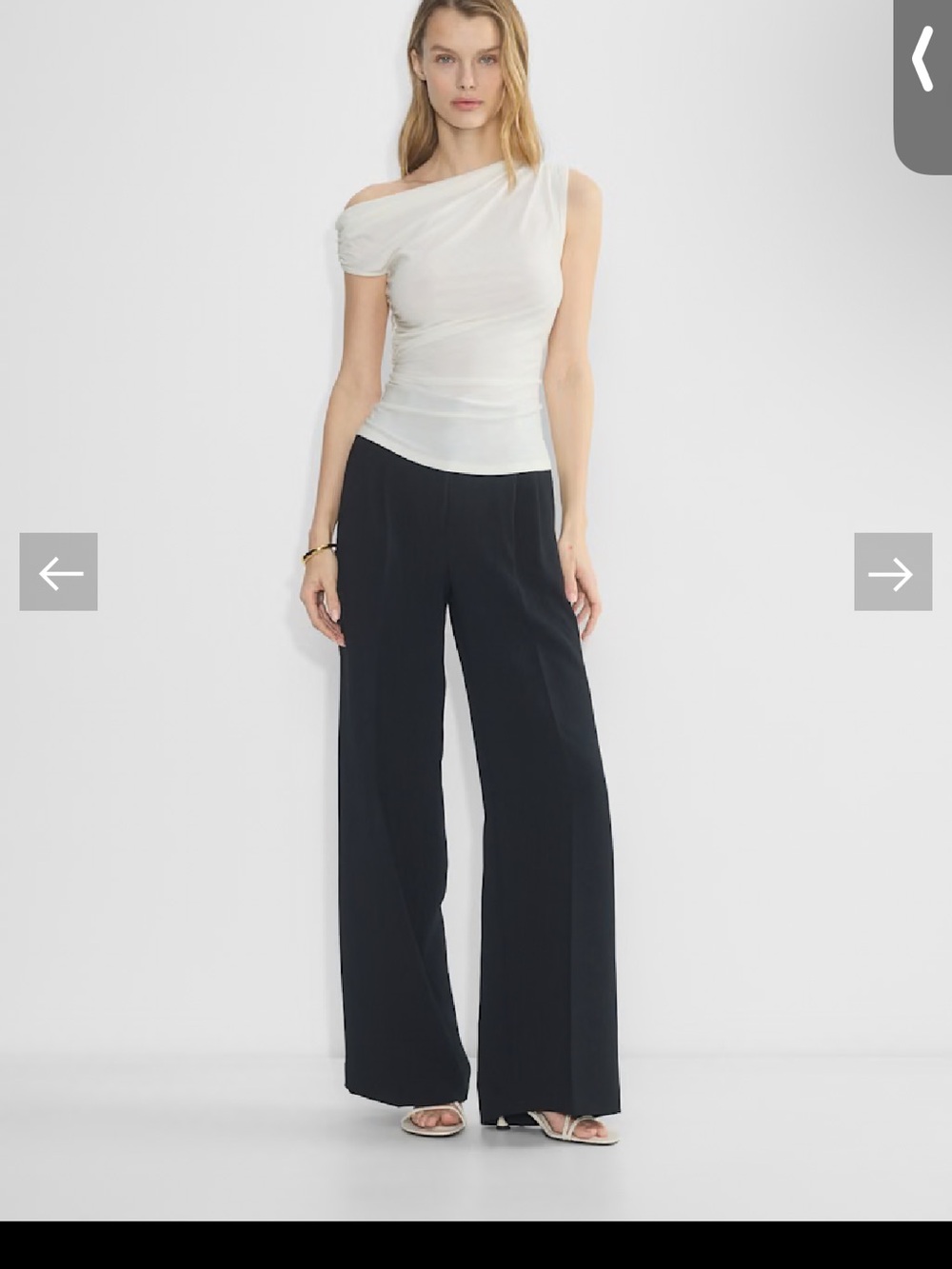 Aritzia Black Wide-Leg High-Rise Trousers
